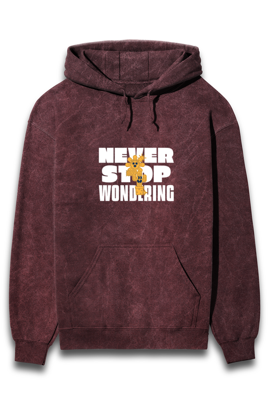 Unisex Full Sleeve Hooded Sweatshirt - Never Stop Wondering